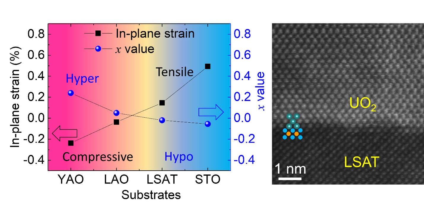 Strain engineering on epitaxial actinide thin films